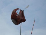 Windsack verwickelt :: Durch heftige Windböen zu einem Knäuel deformiert: unser Windsack
